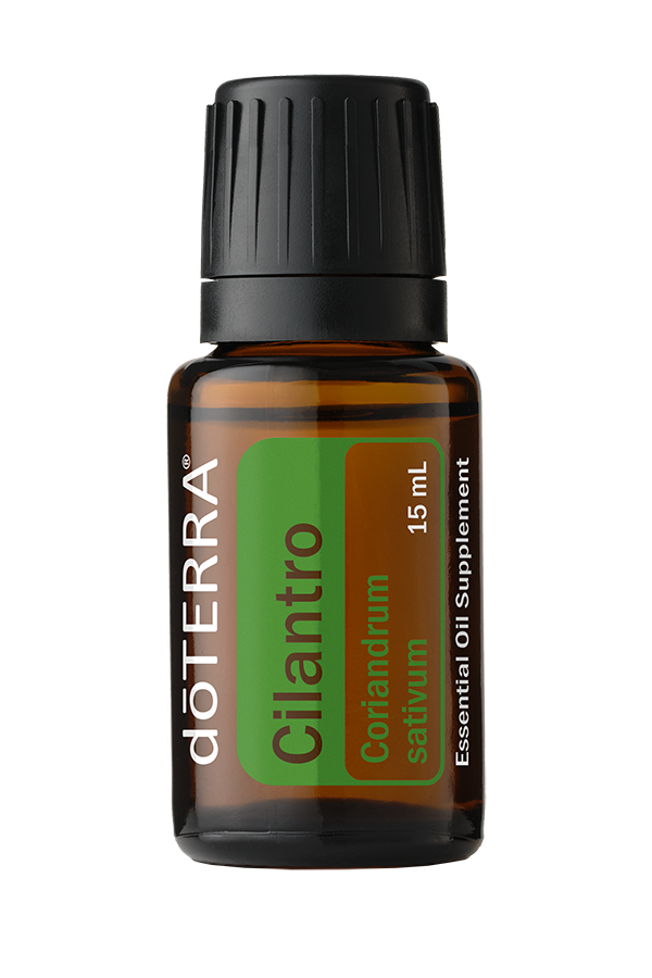 Cilantro 15ml