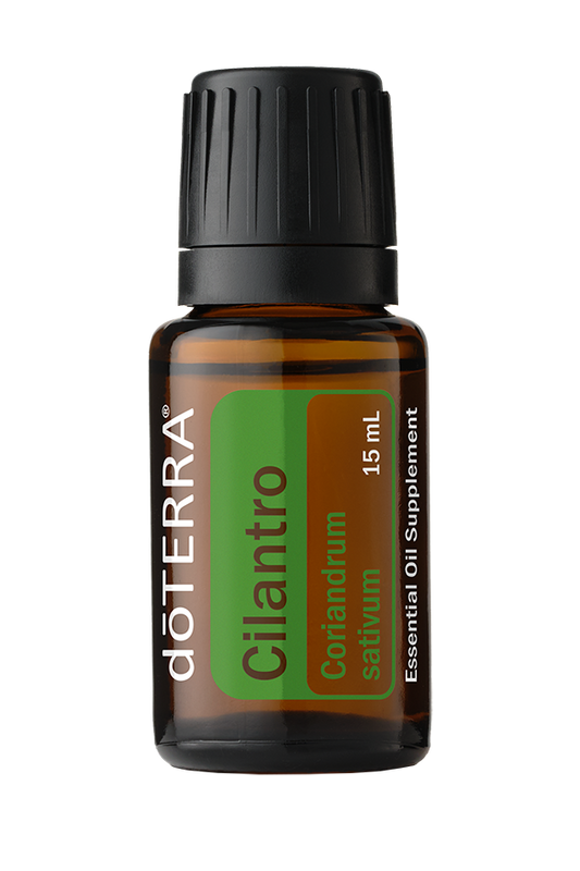 Cilantro 15ml