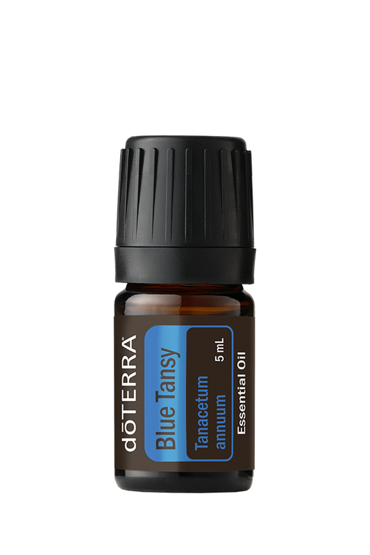 Blue Tansy 5ml